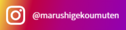 ISG